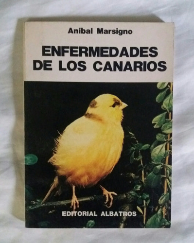 Canarios Enfermedades De Los Canarios Anibal Marsigno