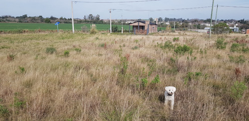 Imagen 5 de 7 de Terreno Lote En Venta Tierra Alta Colonia Ensayo Entre Rios