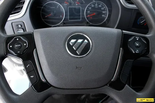 Foton Fvr Grua 2023