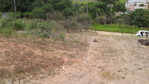 Imagem 2 de 3 de Terreno Vitória Régia Plano Atibaia - 1.000m² - Te0184-1