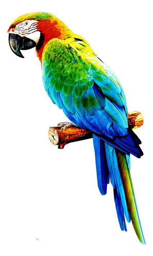 Z Figuritas De Loros Artificiales Animales En Estilo C