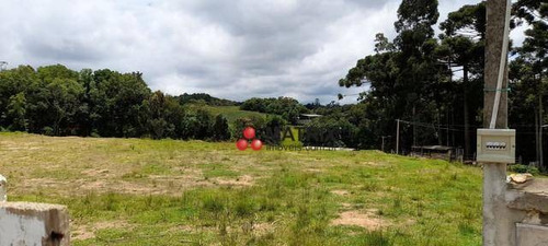 Imagem 5 de 10 de Área À Venda, 240000 M² Por R$ 6.000.000,00 - Jardim Social - Campo Largo/pr - Ar0006
