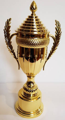 Imagen 4 de 8 de Copa Trofeo Cono C/asas De 45cm Trofeo Premio Para Deportes
