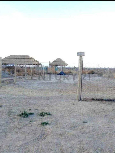 Venta Lote - El Carrizal Abajo- Lujan De Cuyo - Mendoza
