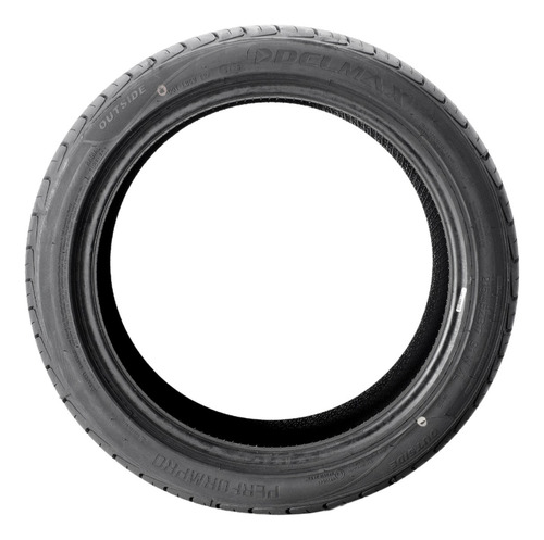 Pneu 215/45 R17 Aro 17 Delmax Perform Pro 91-w W