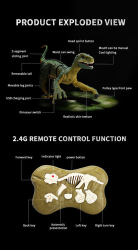 D Brinquedo De Controle Remoto De Dinossauro Elétrico