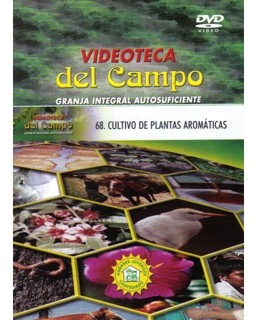 Cultivo De Plantas Aromáticas. Orégano, Hinojo, Caléndula, E