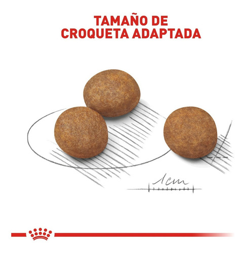 Royal Canin - Maxi Puppy (cachorro) 2.7 Kg.