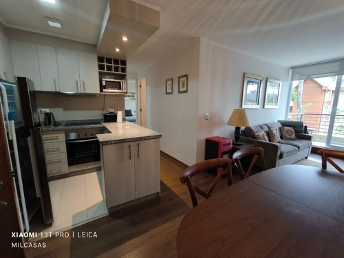 Excelente Departamento Pucon