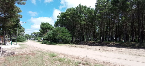 Vendo Excelente Lote En Barrio Álamos Pinamar