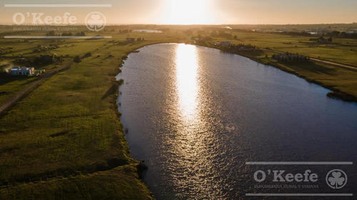 Lote En Venta En Puerto Nizuc - Oportunidad De Inversión En Guillermo Hudson