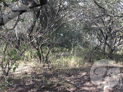 Imagen 5 de 9 de San Javier (cba) I Campo 18.5 Ha