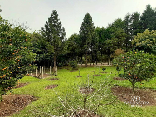Imagem 27 de 30 de Chácara Com 2 Dormitórios À Venda, 37784 M² Por R$ 660.000,00 - Rio De Una - São José Dos Pinhais/pr - Ch0071