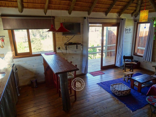 Los Geckos En Punta Del Diablo