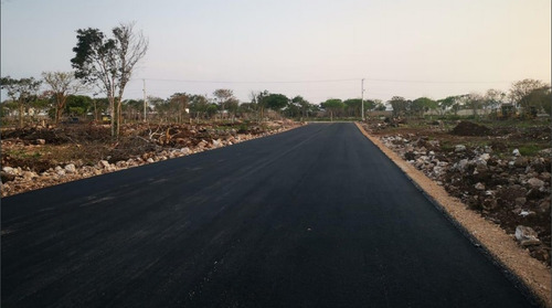 Imagen 3 de 3 de Terreno Venta Arbia Conkal, Mérida Yucatán