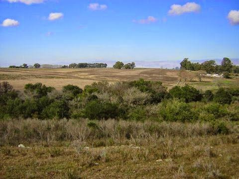 Imagen 5 de 9 de Venta Chacra 30 Has Piedras De Los Indios Colonia Uruguay