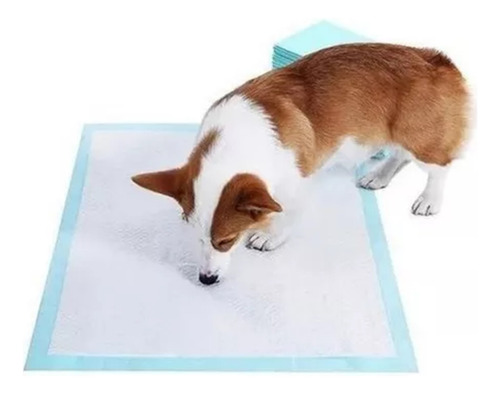 80 Pañales Tipo Sabanillas Mascotas Perros 90x60 Cms