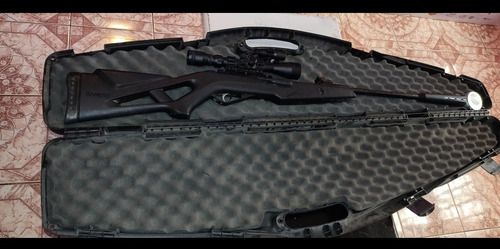 Rifle Gamo Whisper 5.5 Usado Incluye Mira Y Estuchera