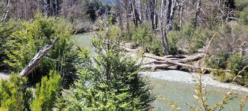 Lotes Terrenos Parcelas En Preventa Con Costa De Rio Paraje Rincón Ruta 231 Villa La Angostura