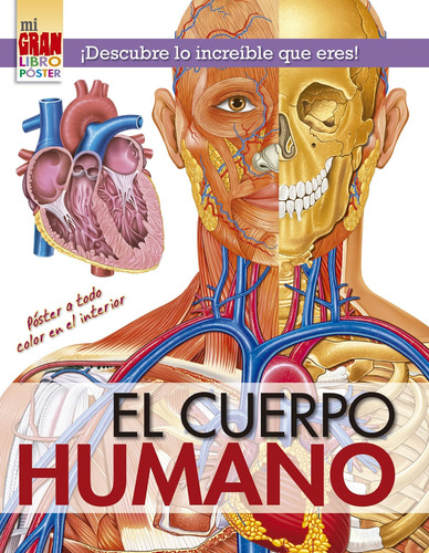 Mi Gran Libro Póster. El Cuerpo Humano (portada Puede 91slw