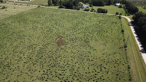Imagen 5 de 6 de Chacra 5 Hectáreas Ruta 12 Maldonado - Pueblo Eden Pueblo Eden
