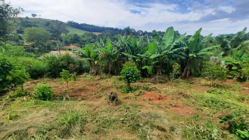 Imagem 8 de 16 de Chácara À Venda Em Pinhalzinho/sp - 0086