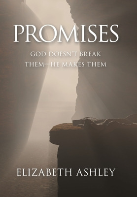 Libro Promises: God Doesn't Break Them-he Makes Them - As...