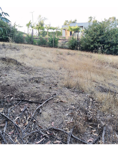 Parcela En Venta En Bosque De Mantagua Concon