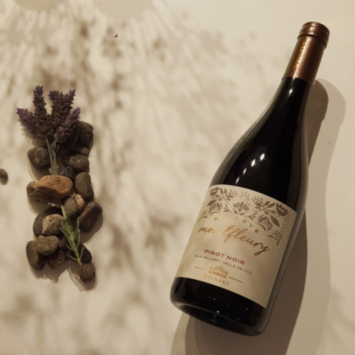 Vino Montfleury Reserva Pinot Noir Caja X 6 750ml. Weinert