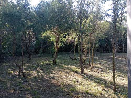 Casa A Estrenar-carpintería (zona Céntrica)