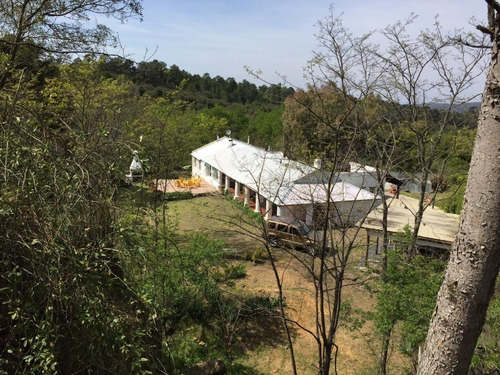 Imagen 16 de 17 de Venta De Campo Y Casco De Estancia Inv064