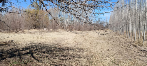 Cocucci Inmobiliaria Vende Finca En Tunuyan