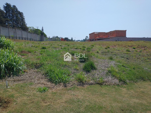 Imagem 1 de 10 de Terreno À Venda Em Joapiranga - Te003834