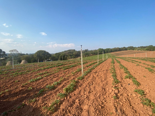 Imagem 7 de 11 de O48- Lotes Á Venda 450 Metros ,aceitamos Carro De Entrada