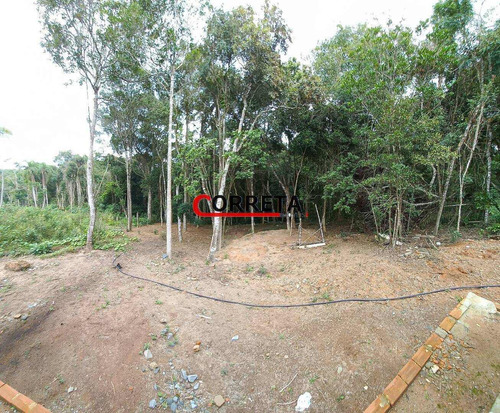 Imagem 8 de 13 de Vendo Chacara De 1000m² Em Ibiuna-sp - 521