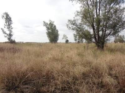 Venta Lote Malvinas Argentinas Dpto Colon- 3 Has Apto Loteo-escritura