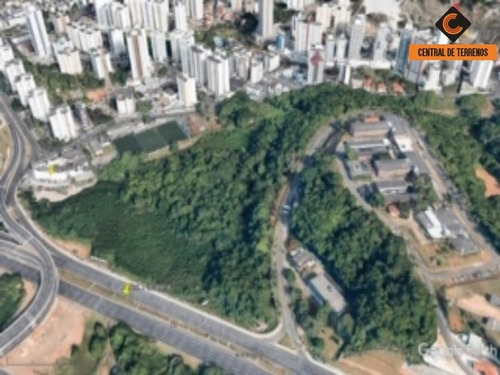 Imagem 4 de 7 de Terreno Em Salvador - Te00340 - 68217082