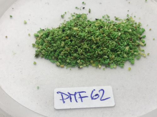 Nico Pote De Pasto Verde Claro Para Maquetas Madera (pmf 62)