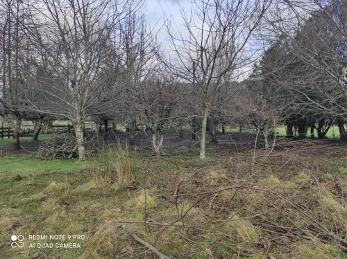 Parcela En Venta | 5.000 M² | Riñinahue - Lago Ranco