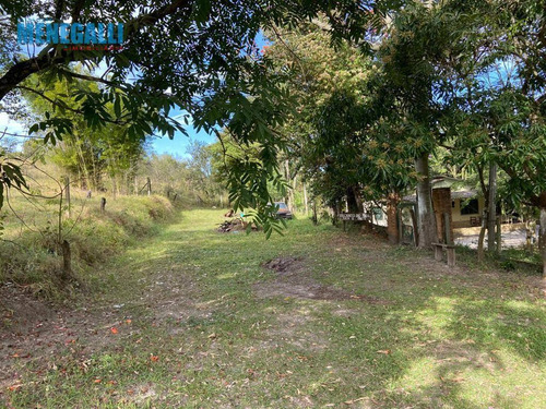 Imagem 4 de 17 de Chácara - Floresta Escura - São Pedro/sp - Ch0069