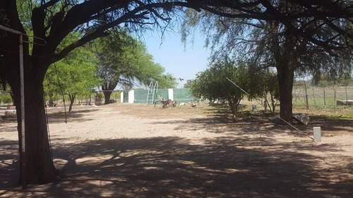 Campo En Venta Villa Quilino - Campo Ganadero Con 2 Casas