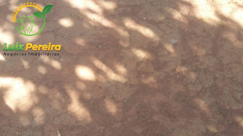 Imagem 7 de 12 de Fazenda À Venda Em Sucupira - T0 - 726 Hectares (dupla Aptidão) - 2016