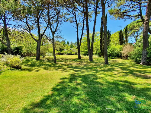 Vendo Casa 4 Dormitorios, Terreno 3.000 M2, Piscina, En Brava, Punta Del Este