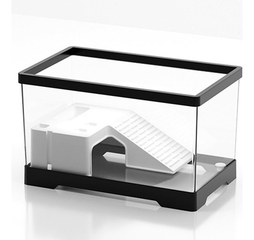 Tanque Para Tortugas De Agua Con Área De Negro Medio