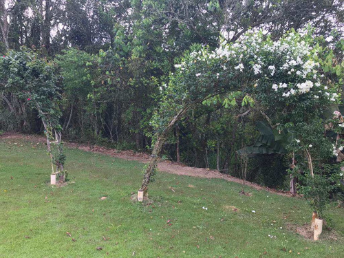 Imagem 15 de 17 de Chacaras De 2.000m² Cada, Á 10 M Do Chopin, Plana. - V147