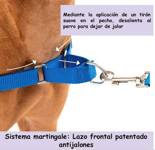 Arnés Easy Walk Talla M Y L Antijalones Para Perros