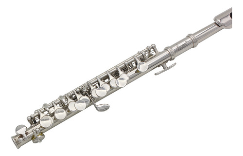 Piccolo Slade Silver En Cmajor De 16 Agujeros Con Cuerpo De