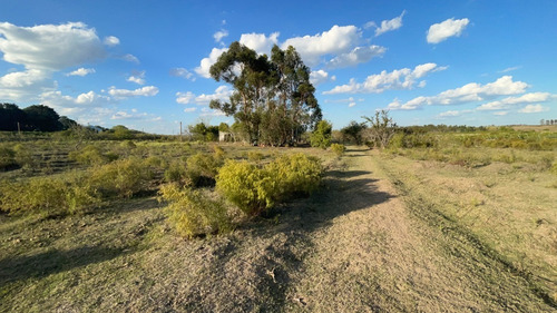 Venta Campo De 5has Casa De Material Sobre Ruta 33, Entrega Y Cuotas