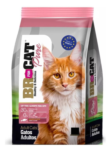 Br For Cat Adulto Salmon X 10 Kg