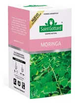Comprar Te de Moringa en saquitos Saint Gottard 20 unidades